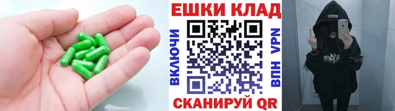 ЭКСТАЗИ louis Vuitton Луза