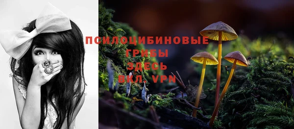 хмурый Армянск