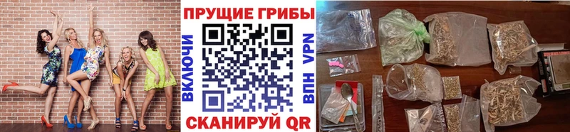 Псилоцибиновые грибы Cubensis Луза