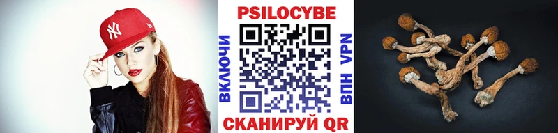 продажа наркотиков  Луза  Псилоцибиновые грибы Psilocybine cubensis 
